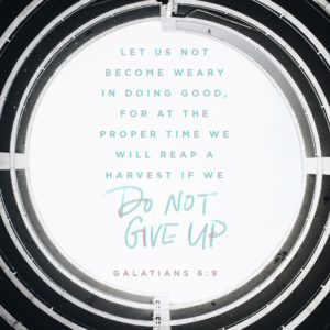 "Let us not become weary in doing good, for at the proper time we will reap a harvest if we do not give up." —Paul, Galatians 6:9 NIV