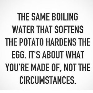 "The same boiling water that softens the potato hardens the egg. It's about what you're made of, not the circumstances." —Unknown