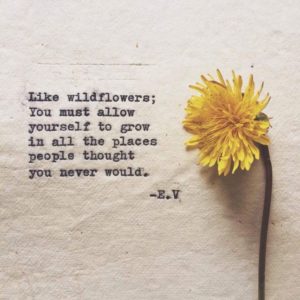 "Like wildflowers, you must allow yourself to grow in all the places people never thought you would." —E. V.
