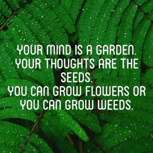 "Your mind is a garden. Your thoughts are the seeds. You can grow flowers or you can grow weeds." —Unknown