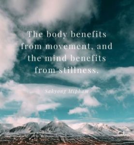 "The body benefits from movement, and the mind benefits from stillness." —Sakyong Mipham